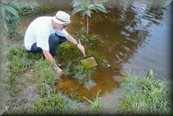 David in the Amazon