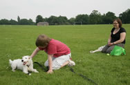 Patty, Max and Rachel in a May 2008 lungeline session Astley Park