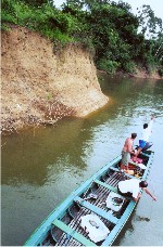 Fishing in the Rio Branco